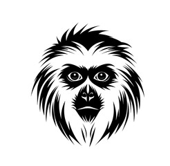 Black gibbon, a monkey-like primate