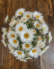 Obraz premium chamomile flowers on wooden background