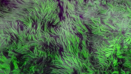 close-up texture faux fur, abstract background, design, decor