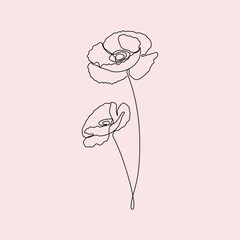 Hand-drawn poppy flower line art drawing. Poppy flower linear icon vector