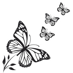 Fototapeta premium Butterfly Silhouette Isolated Animal on White Background