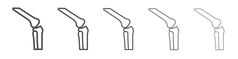 bone icon simple isolated vector sign