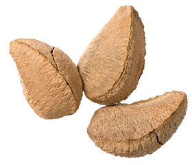 In-sell Brazil nut isolated on the white background, top view.