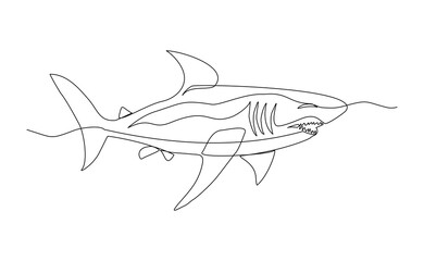 Continuous line of great white shark fish underwater sea ocean marine wildlife animal sketch drawing editable stroke vector illustration