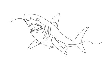 Continuous line of great white shark fish underwater sea ocean marine wildlife animal sketch drawing editable stroke vector illustration