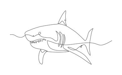Continuous line of great white shark fish underwater sea ocean marine wildlife animal sketch drawing editable stroke vector illustration