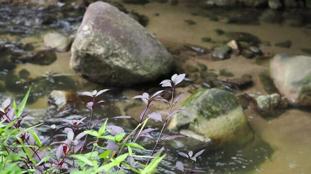 Waterfall 357 in the deep forest of Sai Rom Yen National Park