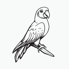 parrot on a branch