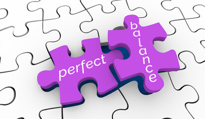 Perfect Balance Harmony Puzzle Pieces Solution Equal Fair Treatment 3d Illustration