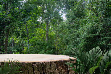 Wood stump podium stand with green tropical forest nature background.natural product pedestal...