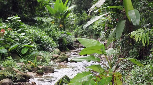 Waterfall 357 in the deep forest of Sai Rom Yen National Park