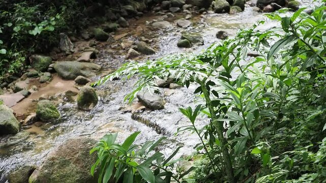 Waterfall 357 in the deep forest of Sai Rom Yen National Park