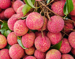 Fresh Lychee on the market