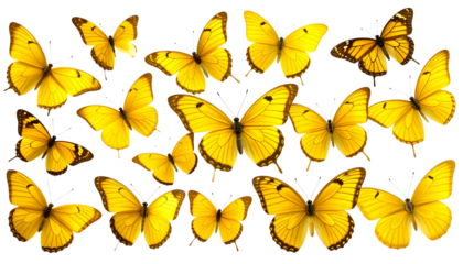 Yellow Butterfly Collection, Isolated on Transparent PNG Background