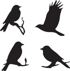 Brid group Silhouette 13