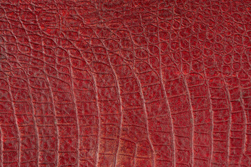 Crocodile red decorative leather texture