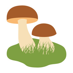 Two mushrooms with green grass isolated on white background. Flat vector illustration.