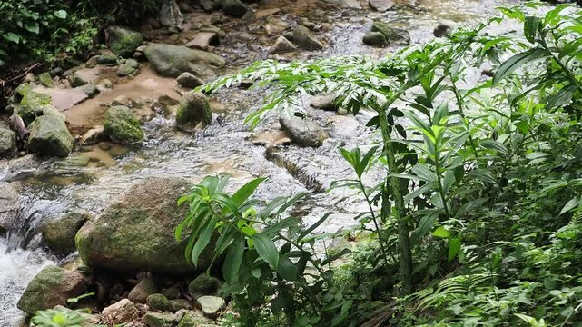 Waterfall 357 in the deep forest of Sai Rom Yen National Park