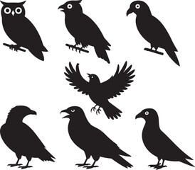 Fototapeta premium Majestic Crow Raven Bird Wildlife Silhouettes