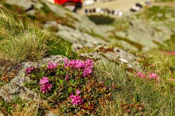 Obraz premium Bâlea Lake in the Făgăraș Mountains, Romania – Stunning Alpine Glacier Lake and Scenic Landscape 