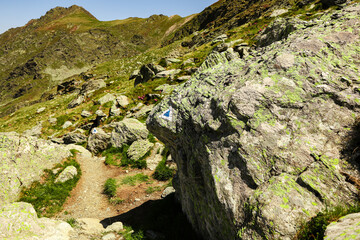 Blue Trail Marker Painted on Mountain Rock – Hiking Path Sign in Rugged Wilderness