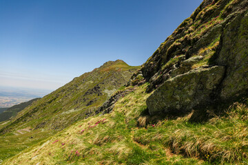 Green Mountain Landscape – Lush Alpine Scenery and Peaceful Nature View

