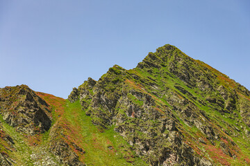 Fototapeta premium Green Mountain Landscape – Lush Alpine Scenery and Peaceful Nature View
