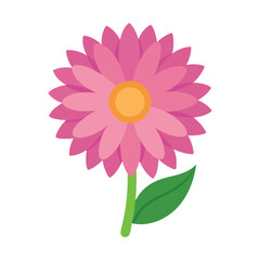 Charming aster flower showcasing radial petals and natural detail ideal for floral artwork Vector illustration on white background