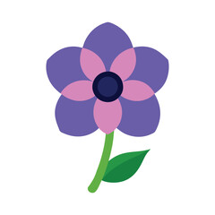 Delicate anemone flower in bloom with soft layered petals for garden and springtime themes Vector illustration on white background