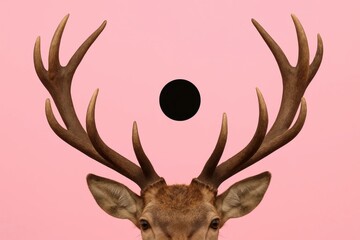 A deer with antlers on a pink background with a black circle in the middle