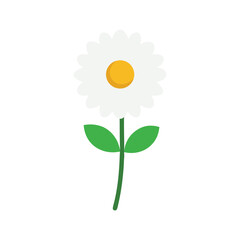 Charming feverfew flower with dainty petals and yellow center perfect for herbal artwork Vector illustration on white background
