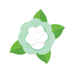 Fragrant gardenia flower with creamy petals and glossy leaves for romantic compositions Vector illustration on white background