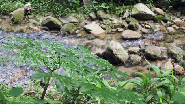 Waterfall 357 in the deep forest of Sai Rom Yen National Park