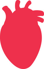  Heart anatomical vector art illustration