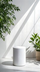 Fototapeta premium A white cylindrical pedestal stands in a bright minimalist room. Green plants cast shadows on the white wall, creating an ideal clean display background.