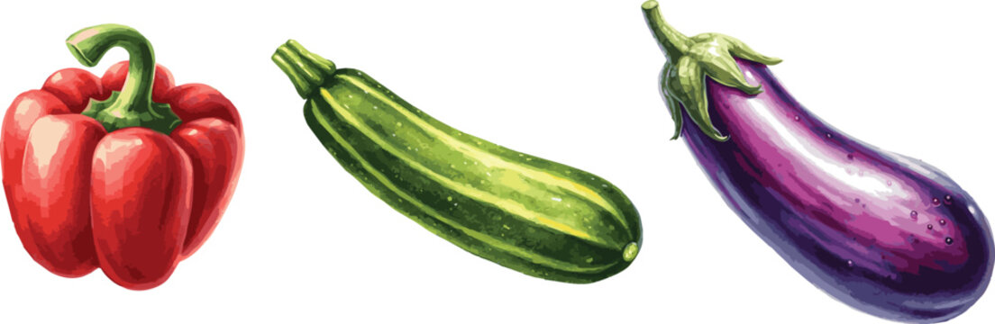 Collection of vector watercolor paninted bell peper, eggplant, zuchini