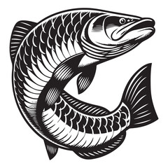 Arapaima fish vector image