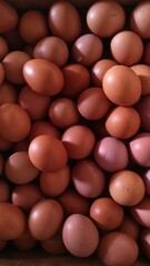 A vertical close-up shot of brown chicken eggs arranged in a natural pile. The warm tones and subtle shadows create a soft, organic texture that’s perfect for food, nutrition, and rustic themes