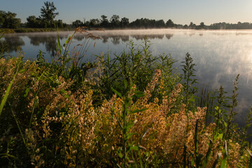 Piękny poranek nad wodą, sezon letni, Polska Śląsk. 
