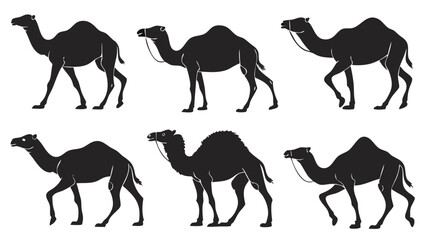 Silhouette Collection of Camels and Desert Wildlife in Natural Poses on Clean White Background