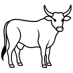Fototapeta premium black and white cow