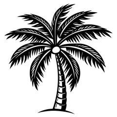 palm tree silhouette