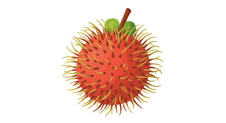 rambutan on white background