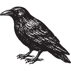 Fototapeta premium Dark raven tattoo art with mystical allure for occult-inspired tattoo ideas