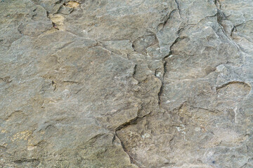 texture of coarse-grained Ciężkowice sandstone in the Prządki rock reserve, Poland
