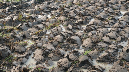 Plowed Field Soil Texture