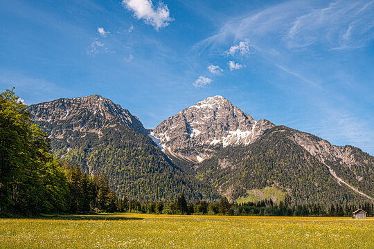 Ein sonniger Fr&uuml;hlingstag mit bl&uuml;hender Wiese im Vordergrund, dahinter bewaldete Berge mit teils schneebedecktem Gipfel unter blauem Himmel.
