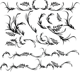 black and white tattoo floral design elements Botanical floral illustration	
