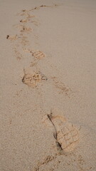 footprints in the sand