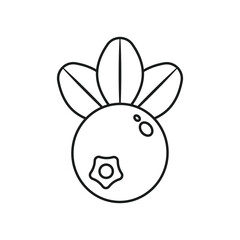 Cranberry fruit icon in stroke linear flat style. Lingonberry vector illustration on isolated background. Fresh berry sign business concept.